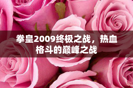 拳皇2009终极之战图片
