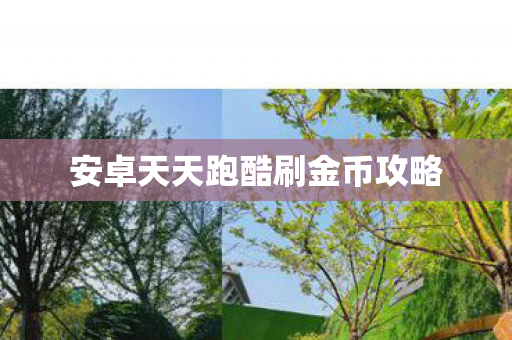 安卓天天跑酷刷金币攻略图片