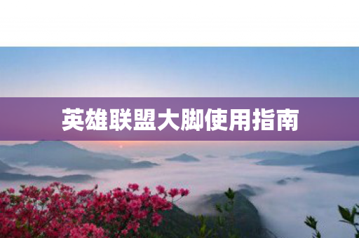 英雄联盟大脚使用指南图片