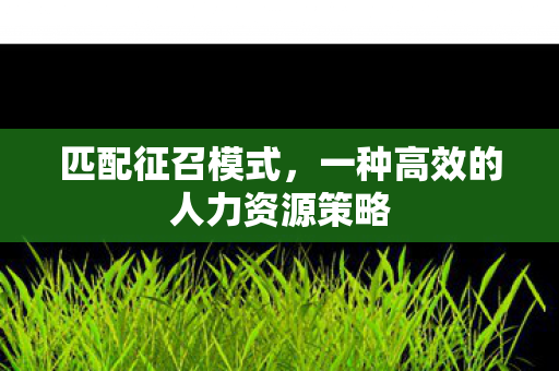 一种高效的人力资源策略图片