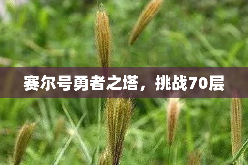 赛尔号勇者之塔图片