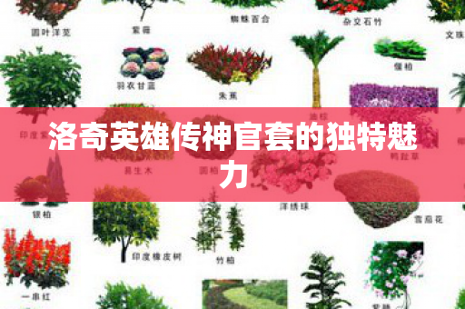 洛奇英雄传神官套的独特魅力图片