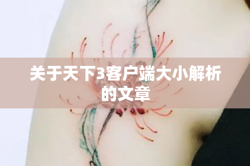 关于天下3客户端大小解析的文章图片