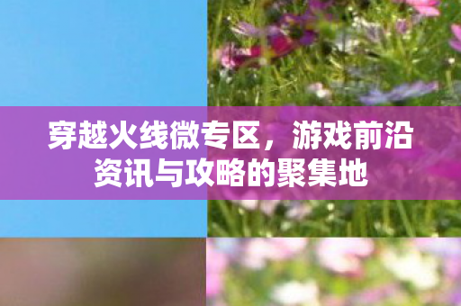 游戏前沿资讯与攻略的聚集地图片