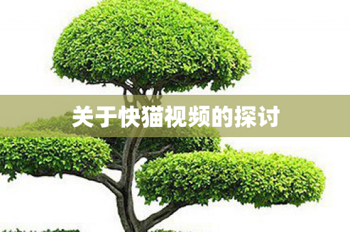 关于快猫视频的探讨图片