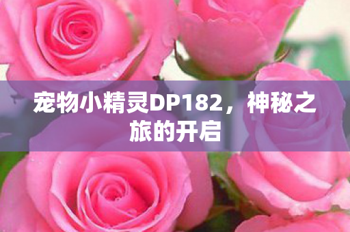 宠物小精灵DP182图片