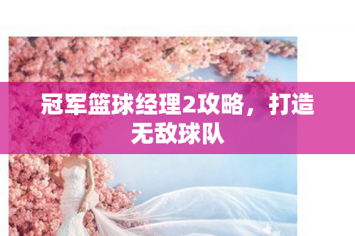 冠军篮球经理2攻略图片