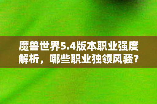 4版本职业强度解析图片