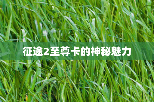 征途2至尊卡的神秘魅力图片
