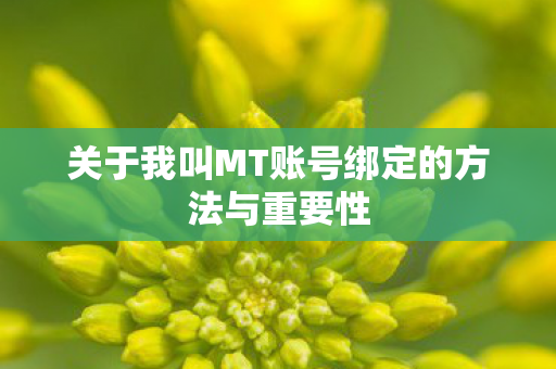 关于我叫MT账号绑定的方法与重要性图片