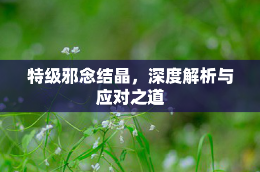深度解析与应对之道图片