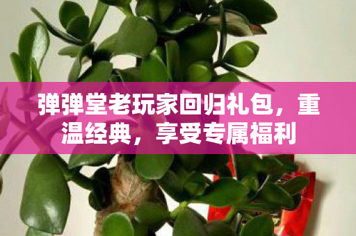 弹弹堂老玩家回归礼包图片