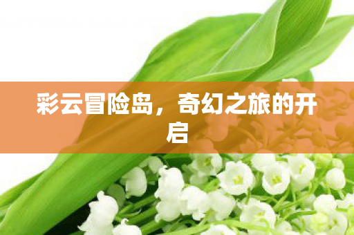 奇幻之旅的开启图片