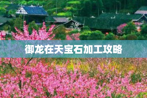 御龙在天宝石加工攻略图片