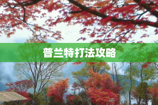 普兰特打法攻略图片