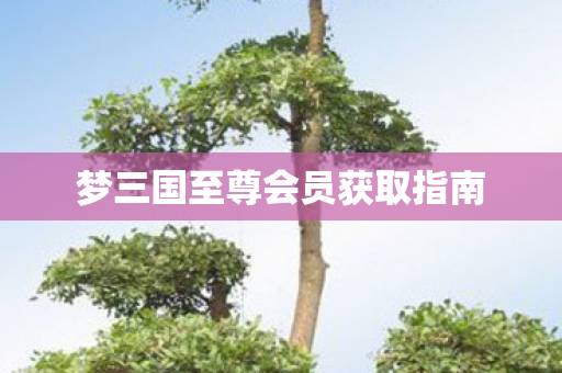 梦三国至尊会员获取指南图片