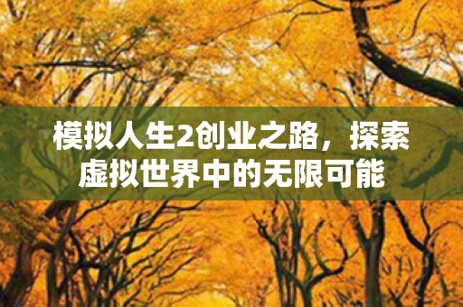 探索虚拟世界中的无限可能图片