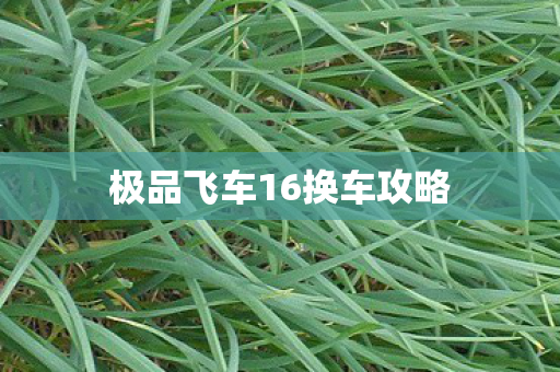 极品飞车16换车攻略图片
