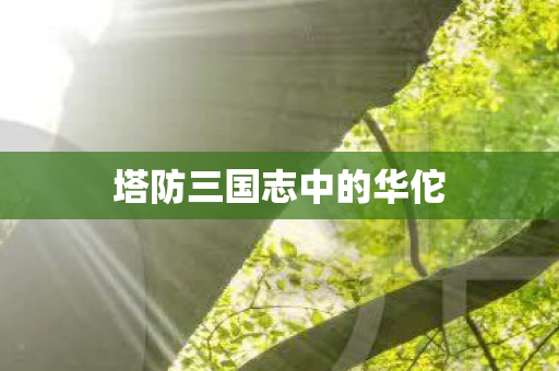 塔防三国志中的华佗图片