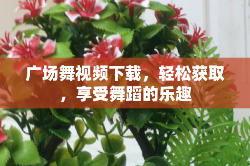 广场舞视频下载图片