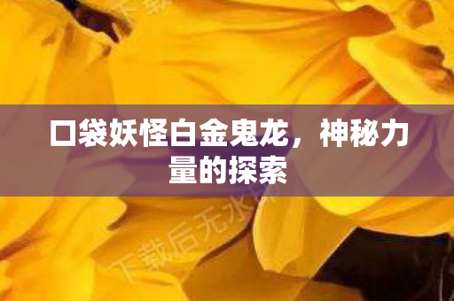 口袋妖怪白金鬼龙图片
