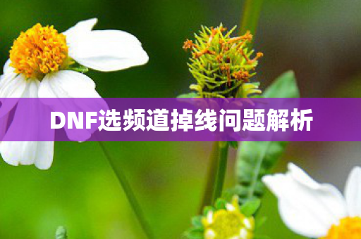 DNF选频道掉线问题解析图片