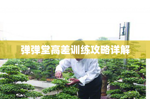 弹弹堂高差训练攻略详解图片