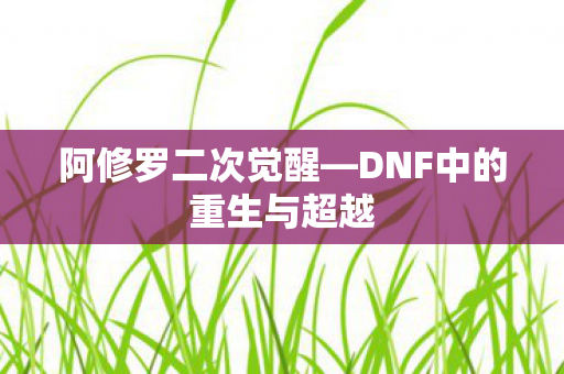 DNF中的重生与超越图片