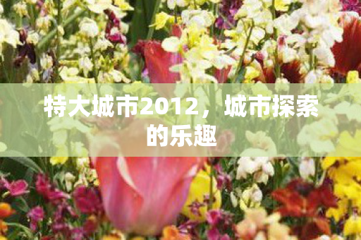 特大城市2012图片