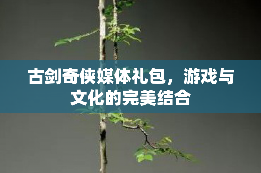 游戏与文化的完美结合图片