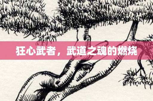 武道之魂的燃烧图片