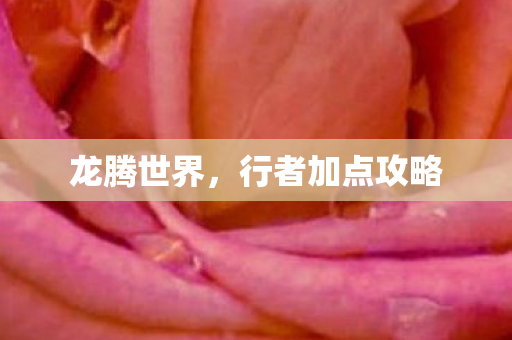 行者加点攻略图片