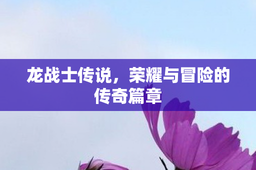 荣耀与冒险的传奇篇章图片