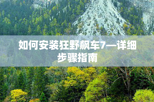 如何安装狂野飙车7图片