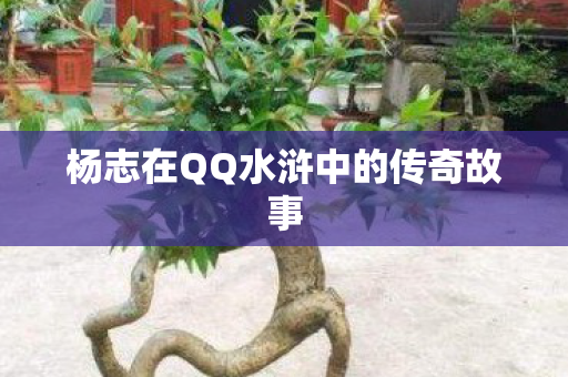 杨志在QQ水浒中的传奇故事图片