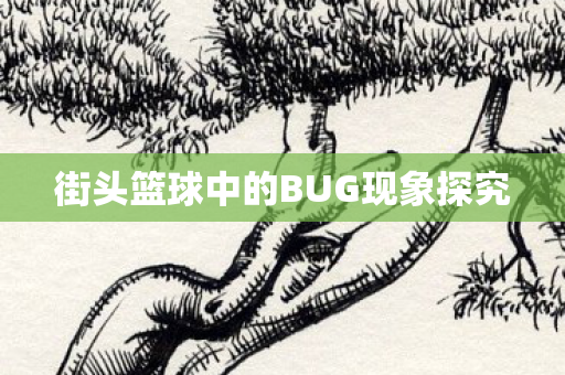 街头篮球中的BUG现象探究图片