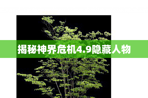 揭秘神界危机4图片