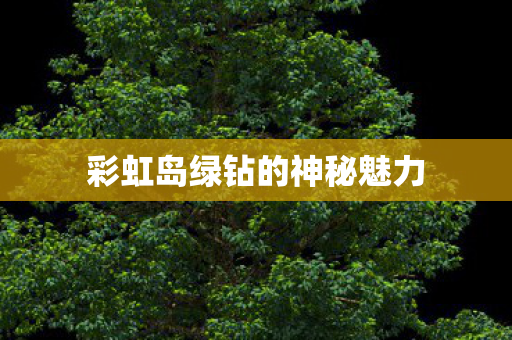 彩虹岛绿钻的神秘魅力图片