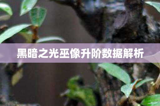 黑暗之光巫像升阶数据解析图片