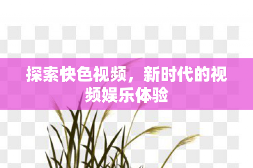 新时代的视频娱乐体验图片