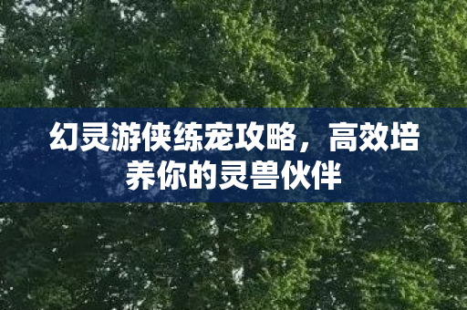 高效培养你的灵兽伙伴图片