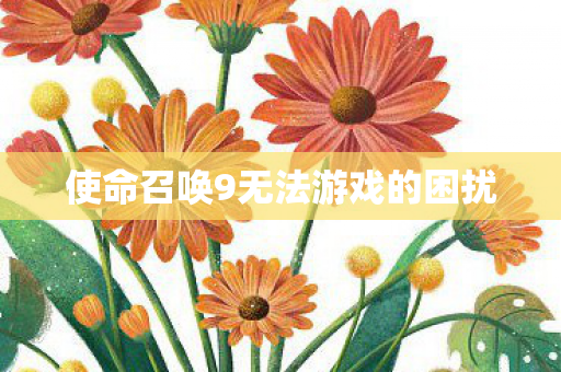 使命召唤9无法游戏的困扰图片