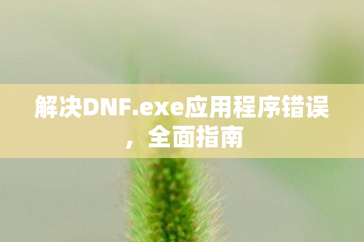 exe应用程序错误图片