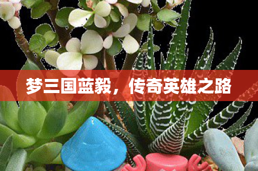 传奇英雄之路图片