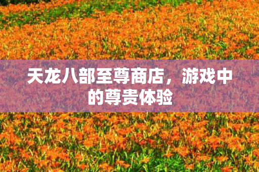 天龙八部至尊商店图片