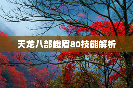 天龙八部峨眉80技能解析图片