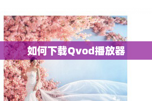 如何下载Qvod播放器图片