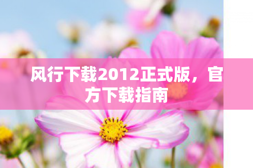 风行下载2012正式版图片