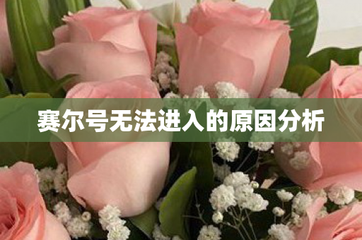 赛尔号无法进入的原因分析图片