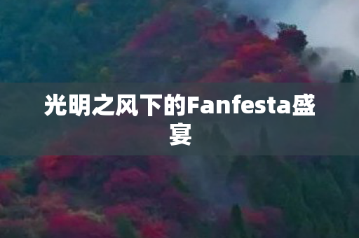 光明之风下的Fanfesta盛宴图片